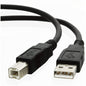 USB 2.0 AM-BM Cable 1FT
