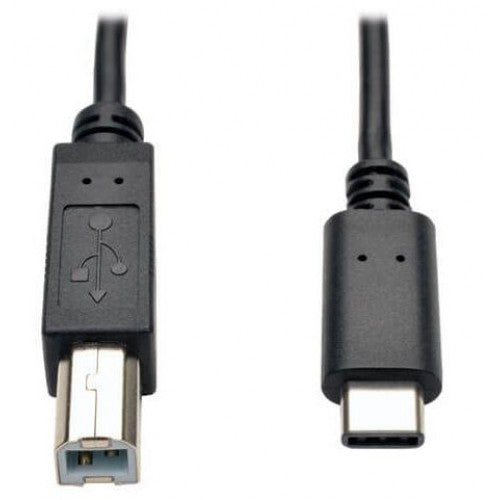 (10FT) USB-C/Type-C male to USB2.0 B male cable 10FT New, Black