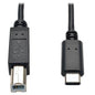 (10FT) USB-C/Type-C male to USB2.0 B male cable 10FT New, Black